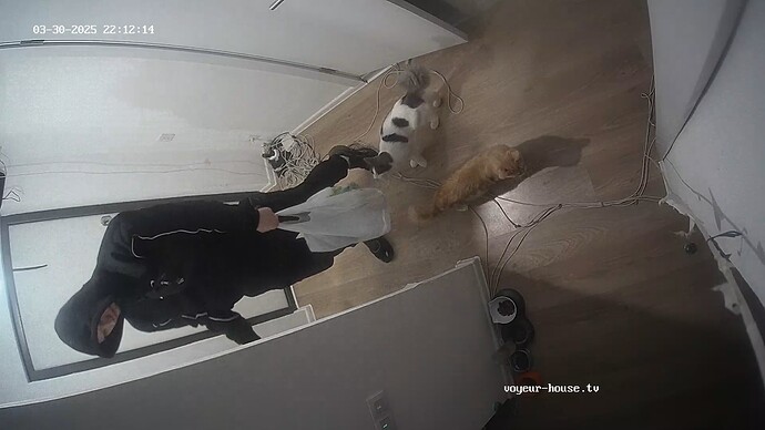 realm93-cam110-1743362278