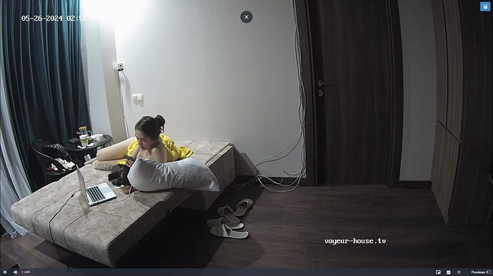 Ashampoo_Snap_dimanche 26 mai 2024_0h57m5s_025_Living room camera at Roza reallifecam apartment at Voyeur House TV (cam13) - Google Chrome