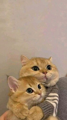 main-qimg-f49cddee8635feec214d99ff93b4eee9