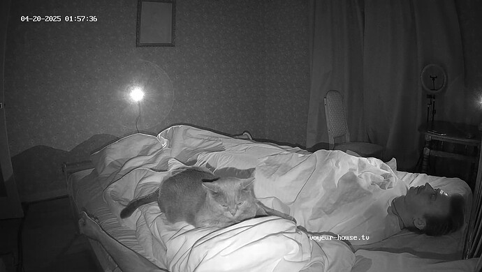 realm8-cam110-1745103571