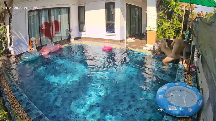 realm94-cam121-1775465545