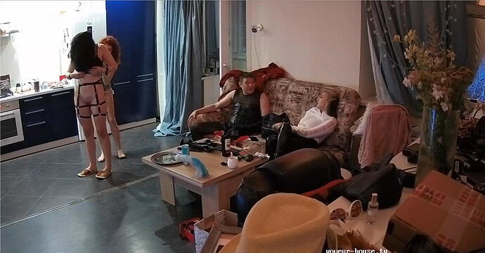 Screenshot 2023-07-20 at 17-17-28 Living room camera at Henry reallifecam apartment at Voyeur House TV (cam15)