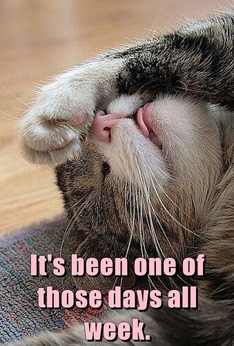 main-qimg-9f770588735e7447cc3d030e253a9de3