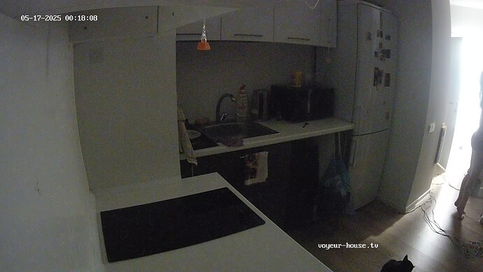 fixingcam1