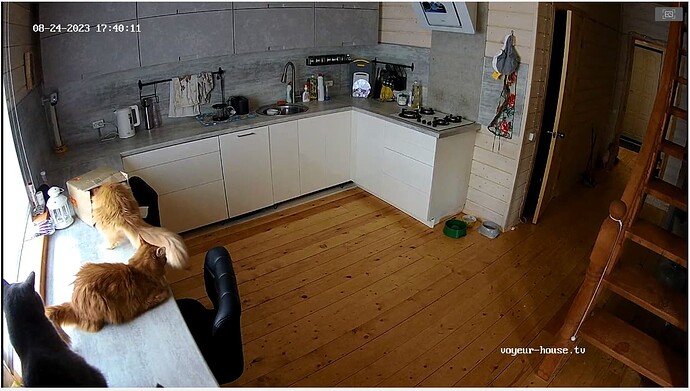 Screenshot_2023_08_24-5