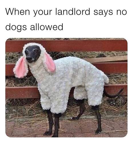 FB_IMG_1681580844393