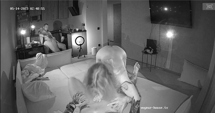 Screenshot 2023-05-13 at 19-49-42 Living room camera at Amelie & Lucas reallifecam apartment at Voyeur House TV (cam13)