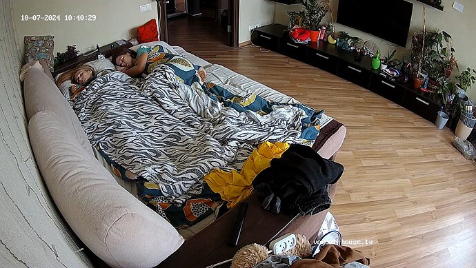 realm37-cam16-1728292296