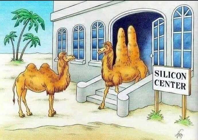 126135853_4023264927689282_3240508289085586148_n