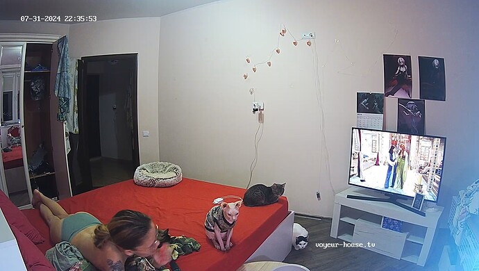 realm60-cam15-1722455045