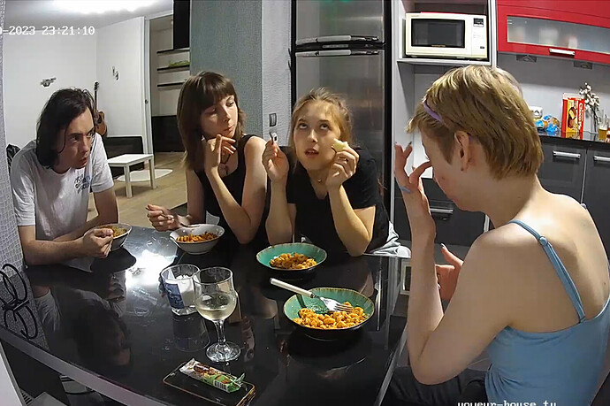 Screenshot 2023-08-20 at 20-58-25 Kitchen camera at Tonk reallifecam apartment at Voyeur House TV (cam12)