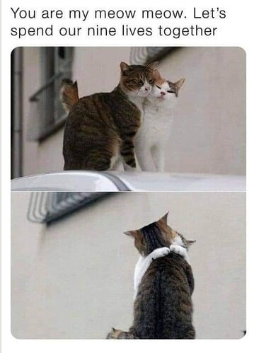 main-qimg-a0699233425e1dacb9983beb705d7a39