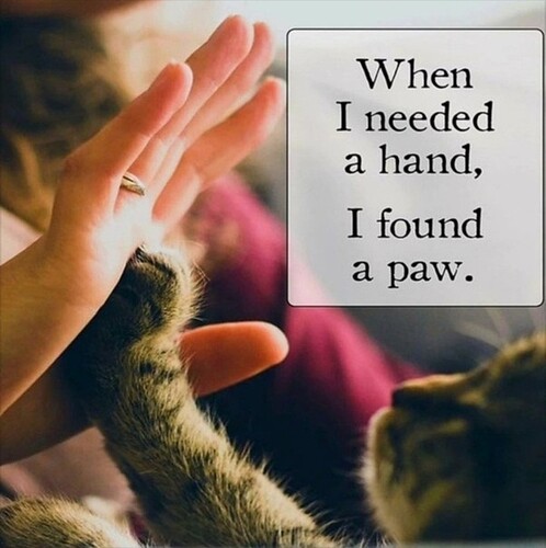 main-qimg-b74ded802b4747938cf02e3540d0c81d