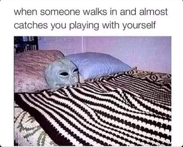 FB_IMG_1681581031106