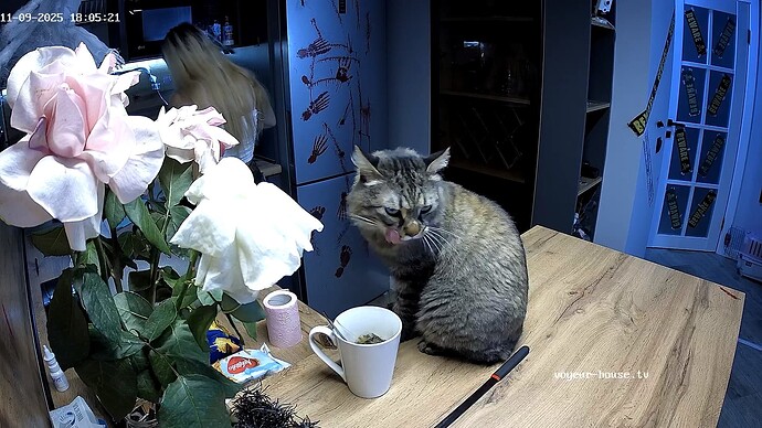 RosyAleks-20251109-03