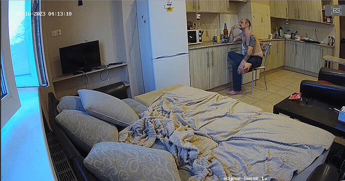 Screenshot 2023-07-15 at 21-40-11 Living room camera at Jakar & Lilka reallifecam apartment at Voyeur House TV (cam13)