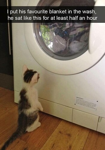 main-qimg-3cb9d15b0d54d3a310d8ab7a5011c49f