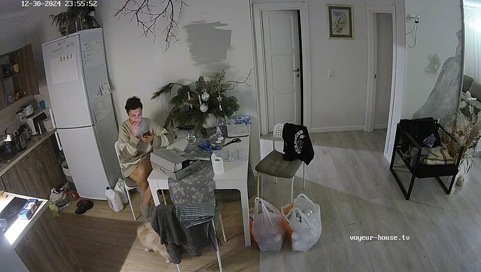 realm92-cam12-1735612146