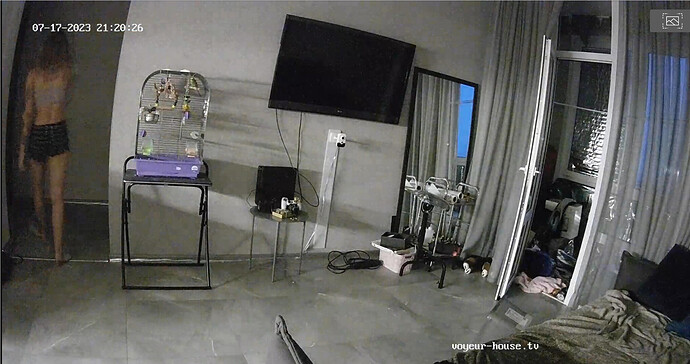 Screenshot 2023-07-17 at 14-20-52 Living room camera at Amelie & Lucas reallifecam apartment at Voyeur House TV (cam14)