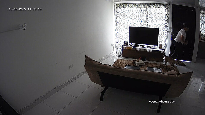 realm121-cam15-1765929701