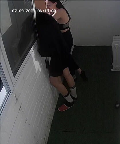 Screenshot 2023-07-08 at 23-26-06 Trisha apartment with reallifecam cameras at Voyeur House TV