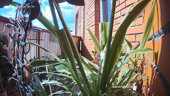 realm60-cam110-1716232899