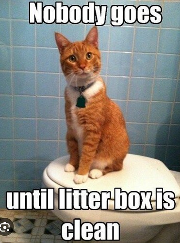 main-qimg-9cf281e6818b883d95eadd8af6940c4d