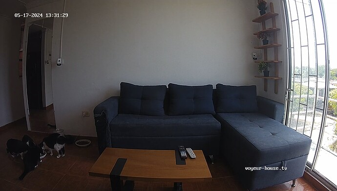 realm38-cam15-1715970880