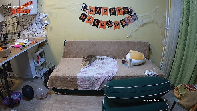 realm87-cam14-1761509835