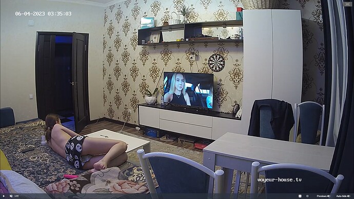 Ashampoo_Snap_samedi 3 juin 2023_22h37m9s_007_Living room camera at Kelys reallifecam apartment at Voyeur House TV (cam14) - Google Chrome