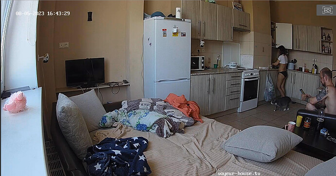 Screenshot 2023-08-05 at 12-34-08 Living room camera at Jakar & Lilka reallifecam apartment at Voyeur House TV (cam13)