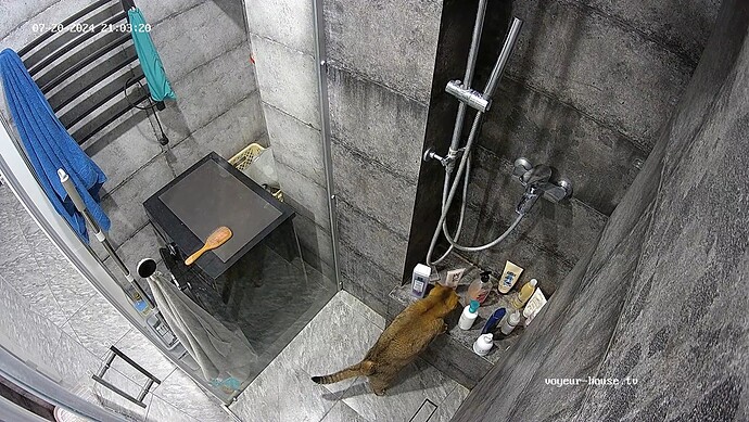 Busya explores Floras shower