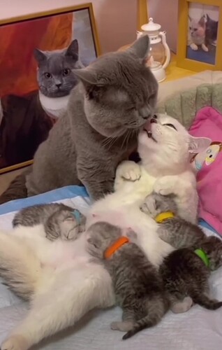 main-qimg-31b0b24dc8ea4aa3b190495d995c8375