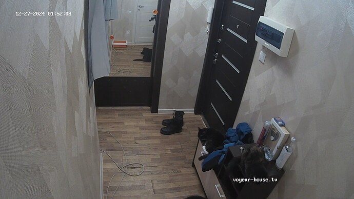 realm69-cam19-1735249967