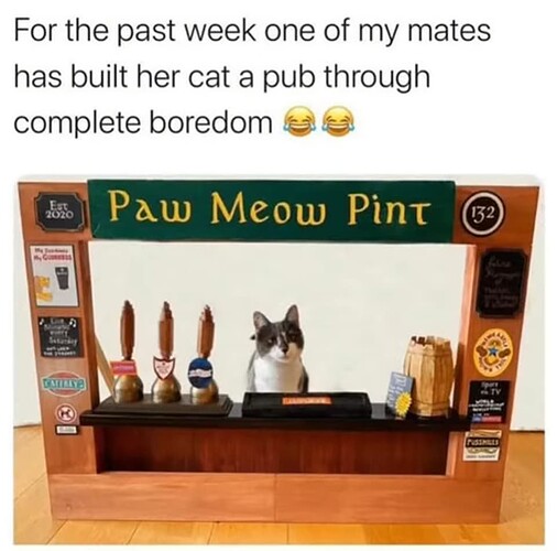 Paw Pint