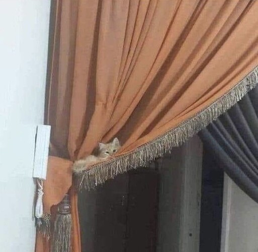 main-qimg-8117072fbf953f7631797cd626805407