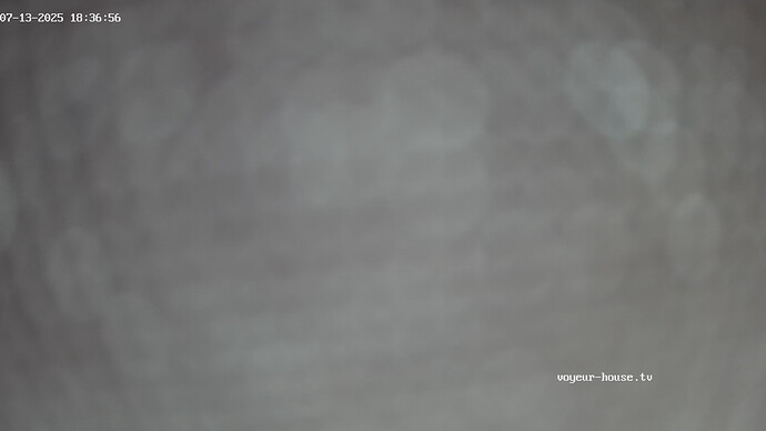 realm51-cam14-1752421486