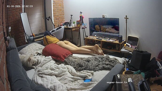 TristanSmurfeta-20260118-01