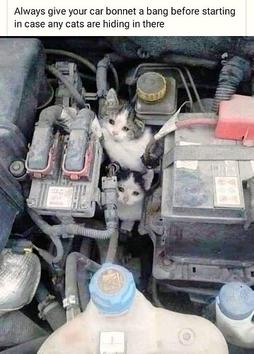 main-qimg-f5c56e72f9063f4d632740fc9c57174a