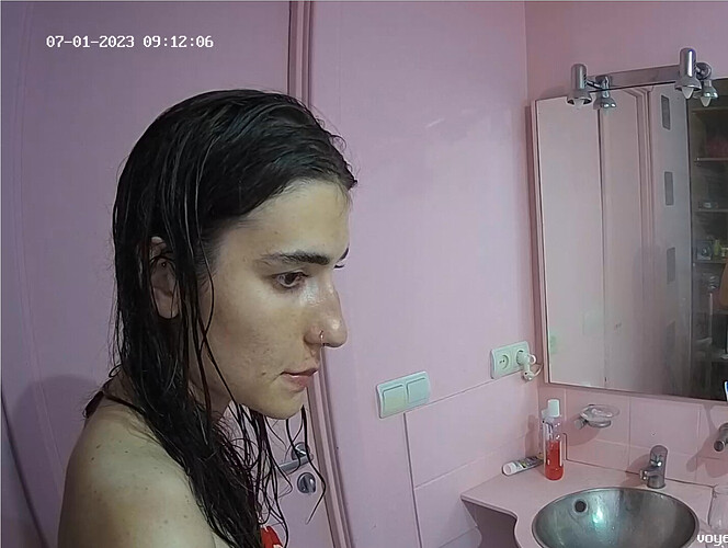 Screenshot 2023-06-30 at 23-32-06 Bathroom camera at Tonk reallifecam apartment at Voyeur House TV (cam113)