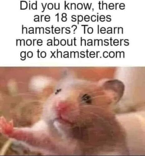 458982123_8092314630821782_6474479191737636188_n