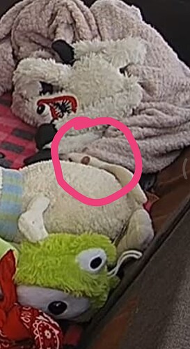 Screenshot_20240111-095116