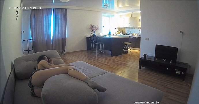 Screenshot 2023-05-05 at 21-20-20 Living room camera at Amelie & Lucas reallifecam apartment at Voyeur House TV (cam13)
