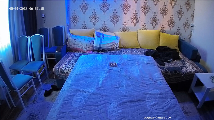 Screenshot 2023-05-29 at 19-37-32 Guest bedroom camera at Sophia Elon Claudia reallifecam apartment at Voyeur House TV (cam110)
