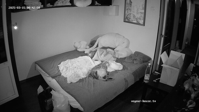 realm7-cam17-1741988606