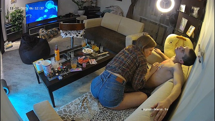 Screenshot 2025-11-12 at 04-13-21 Living room camera at Shana reallifecam apartment at Voyeur House TV (cam16)