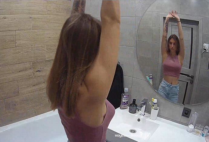 Screenshot 2023-06-15 at 14-12-10 Bathroom camera at Amelie & Lucas reallifecam apartment at Voyeur House TV (cam19)