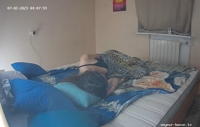 Screenshot 2023-07-01 at 18-08-36 Voyeur House TV 🔥 – #1 FREE Source for hidden real life cams