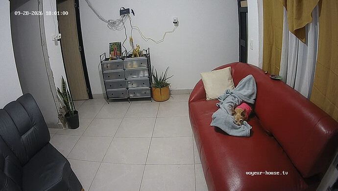 realm172-cam13-1790636498