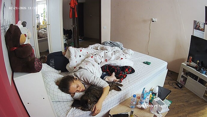 realm60-cam15-1771662882